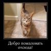 Фотография Кум короля